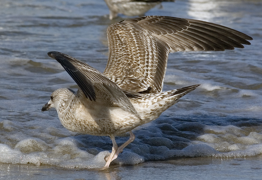 noordwijk20120225_3548.jpg