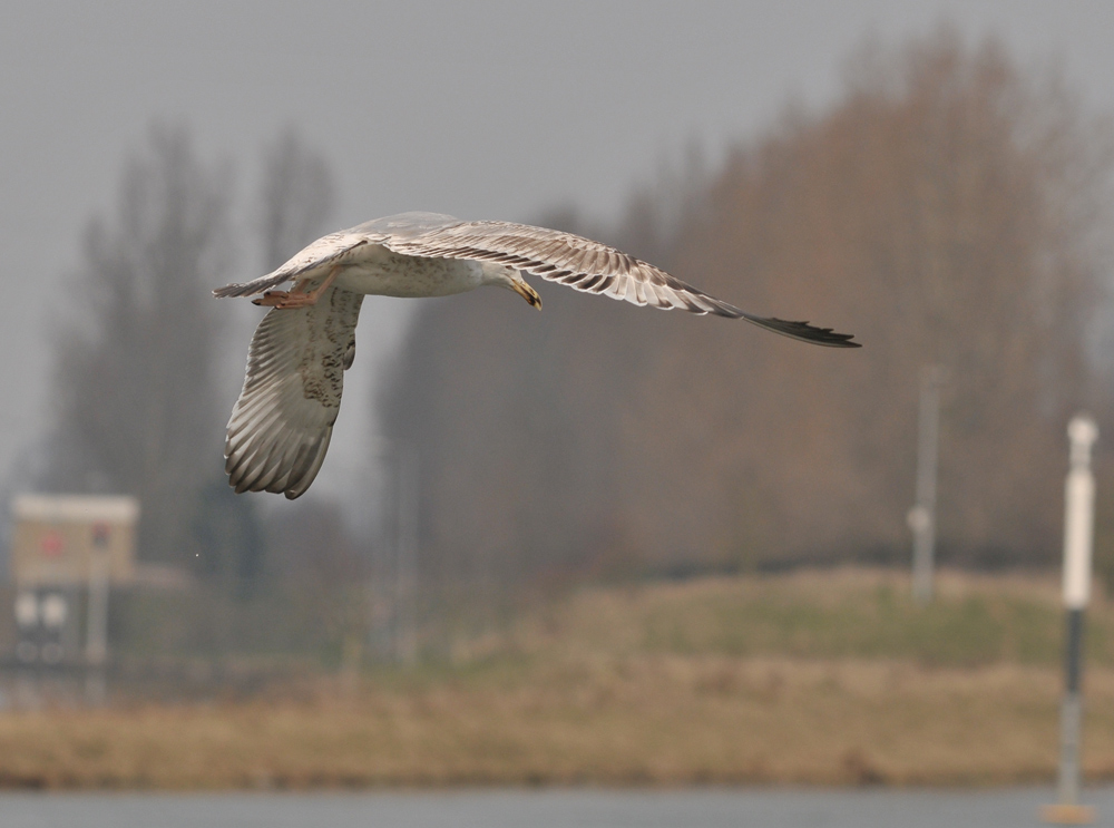 micha3cy_20130328_roermond_tmu_424.jpg