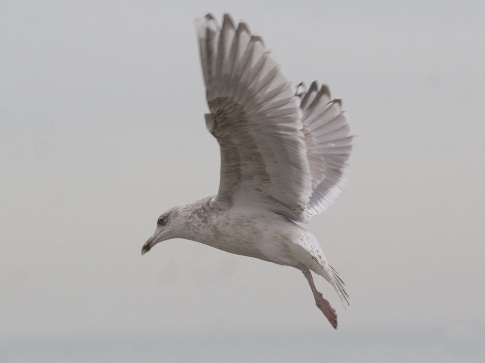 hg4cy20140218katwijk_7935.jpg