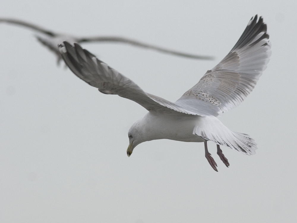 hg4cy20140218katwijk_7976.jpg