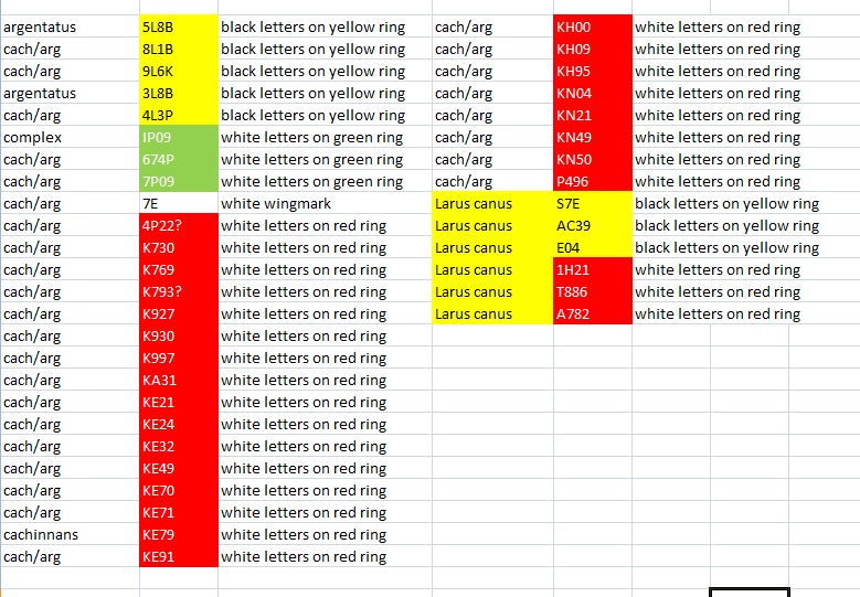 rings 2014 03 09.jpg