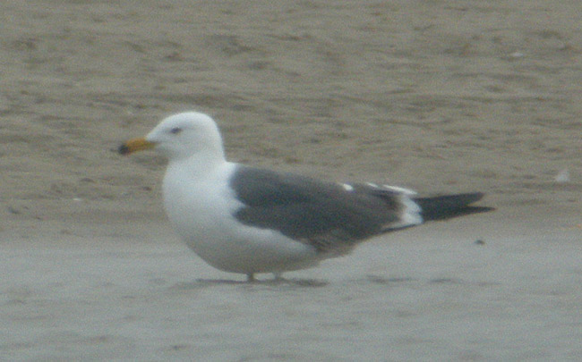 id03.jpg