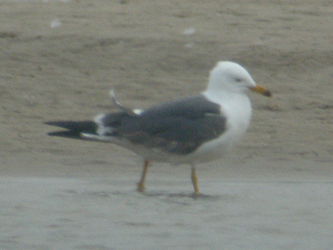 id04.jpg