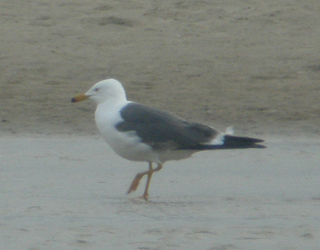 id05.jpg