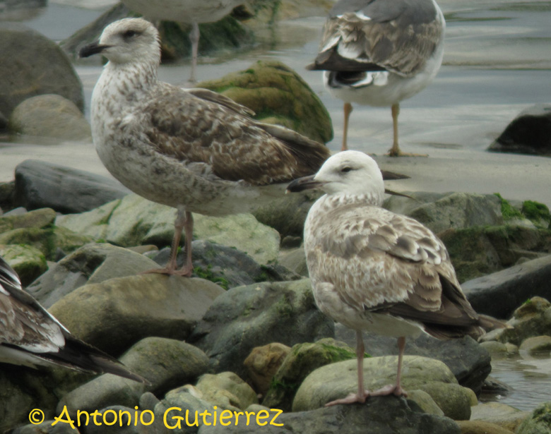 IMG_1281 copia.jpg