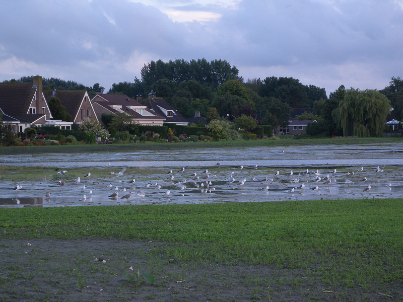 DSCN2836.jpg