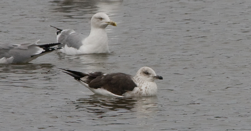 2ndwinter_1015_4703_crop.jpg