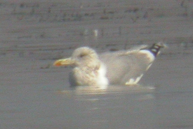 DSCN3635.JPG