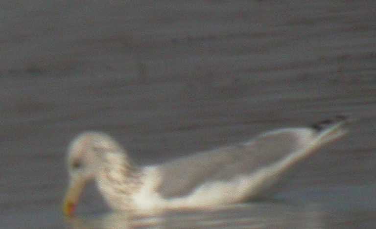 DSCN3674.JPG
