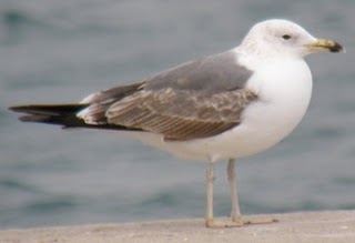 27032009_str1.JPG
