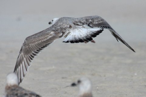 foto6.jpg