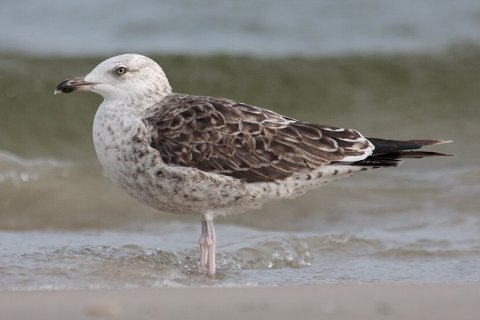 foto19.jpg