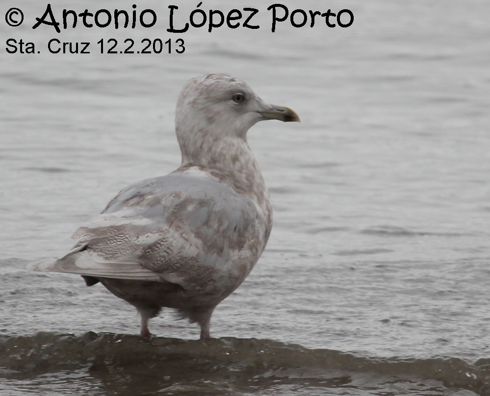 IMG_4930 copia.jpg