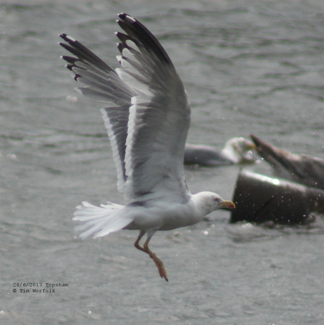 DSC_0456-01a.jpg