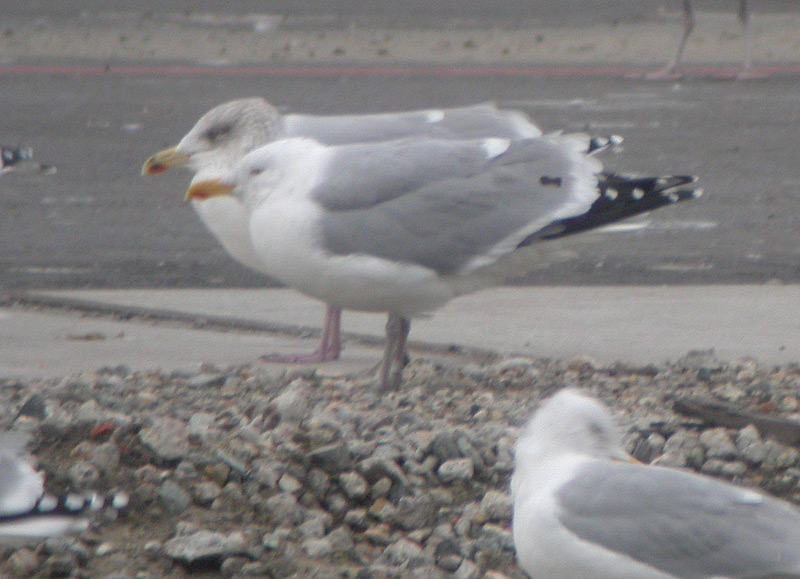 DSCN9998.jpg
