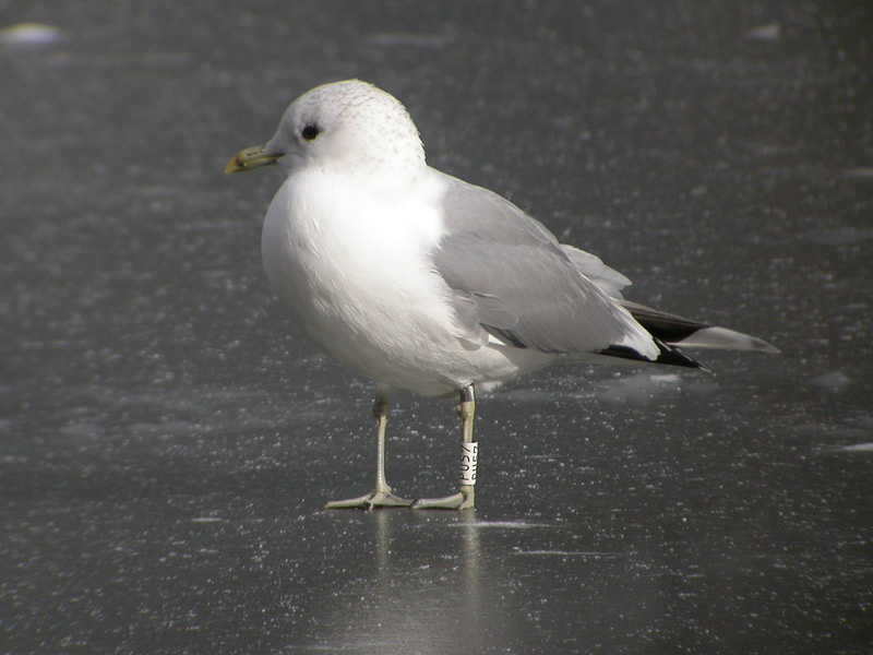 DSCN2397.jpg