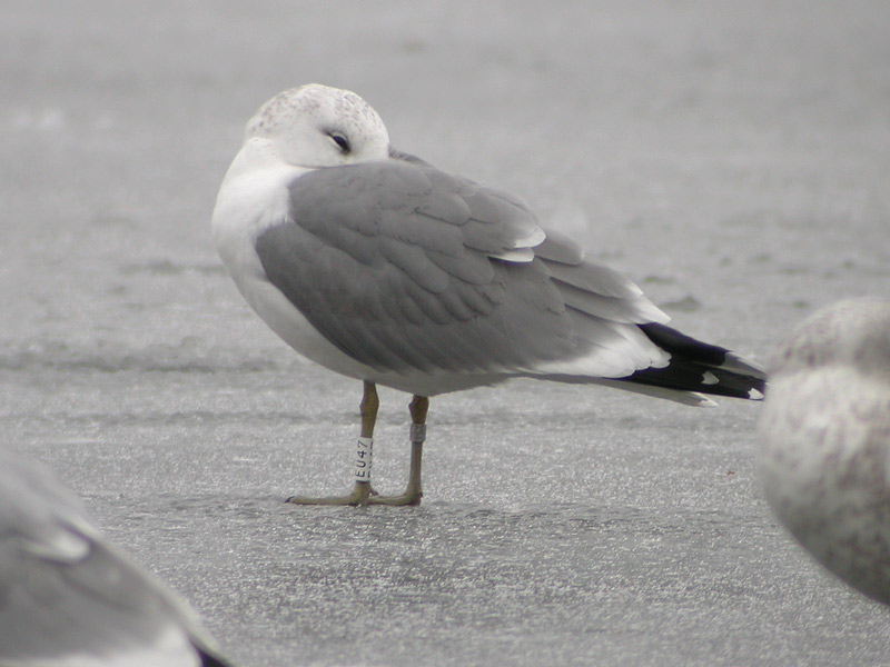 DSCN2340.jpg